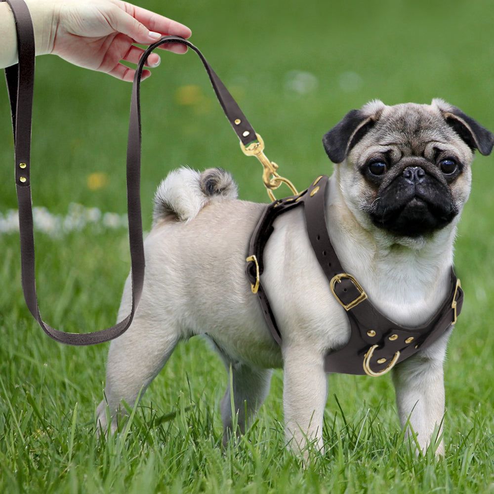 Dog Harness Vest Adjustable Genuine Leather Pet