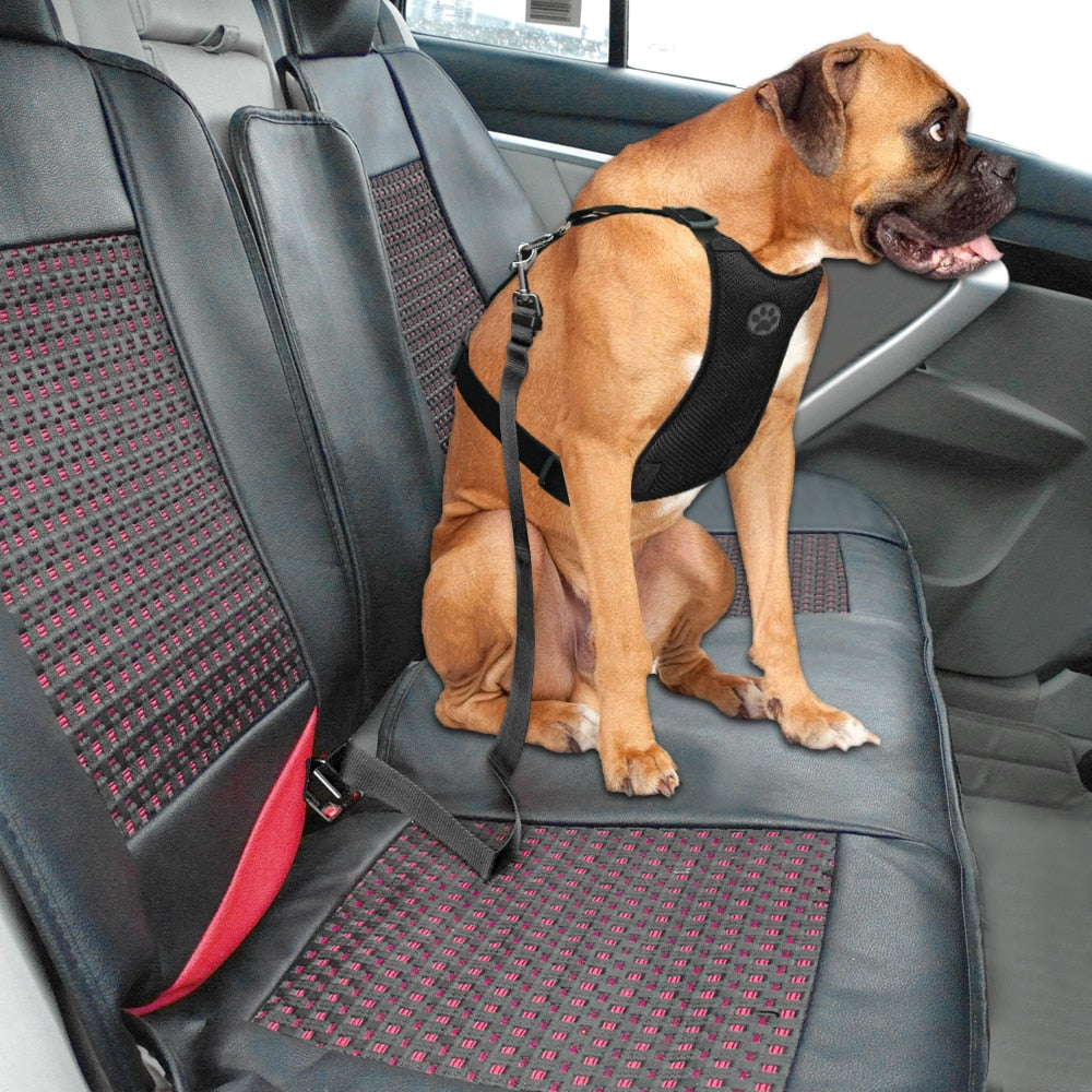 Nylon Breathable Mesh Dog Harness Vest Safety Pet