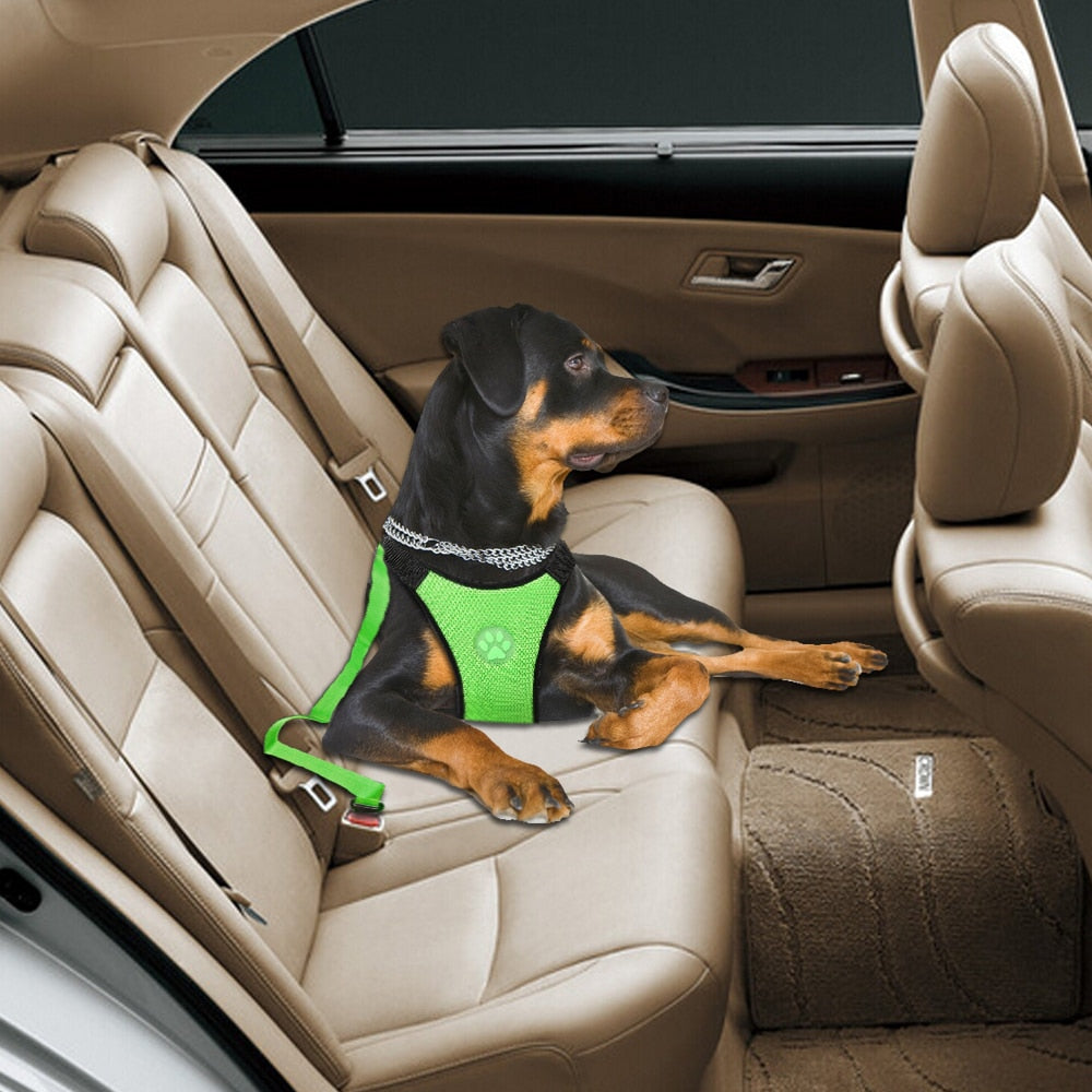 Nylon Breathable Mesh Dog Harness Vest Safety Pet