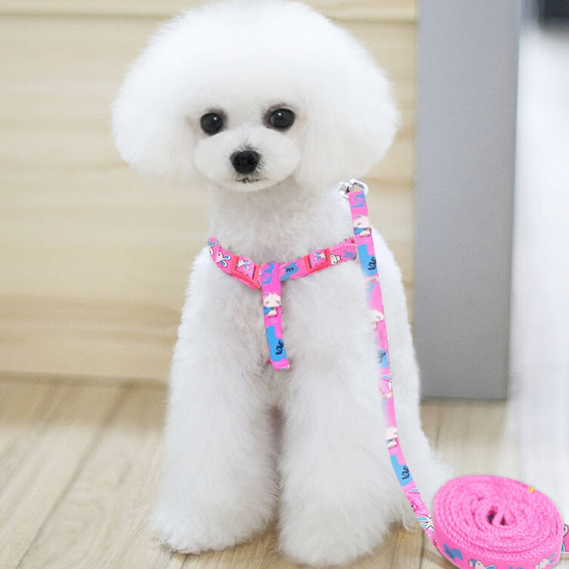 2019 Pet Dog Harness Leashes Puppy Collar for