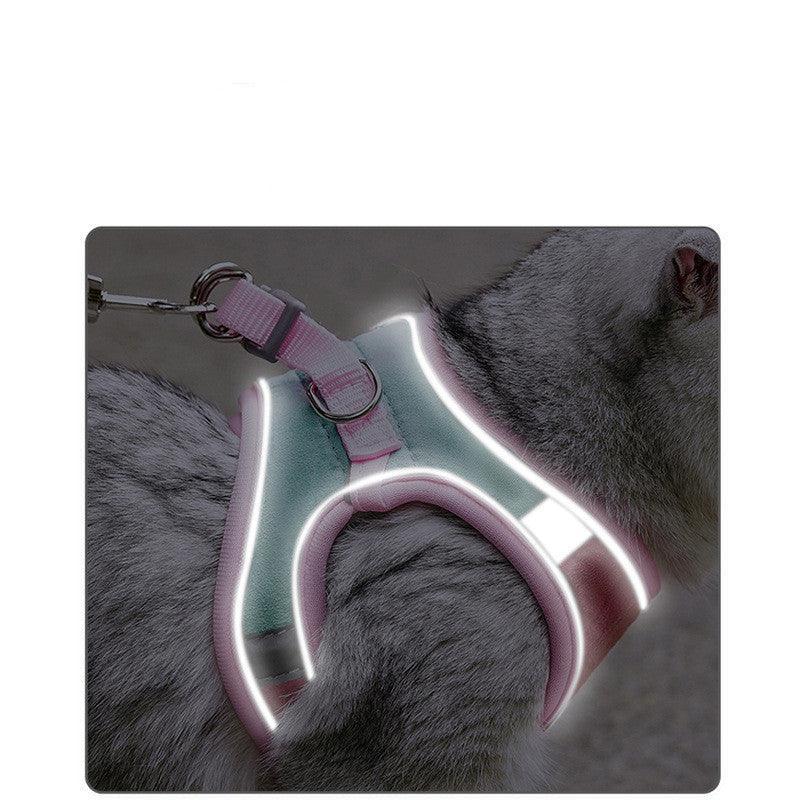Luminous Adventure Cat Chest Harness With Reflective Traction Belt
